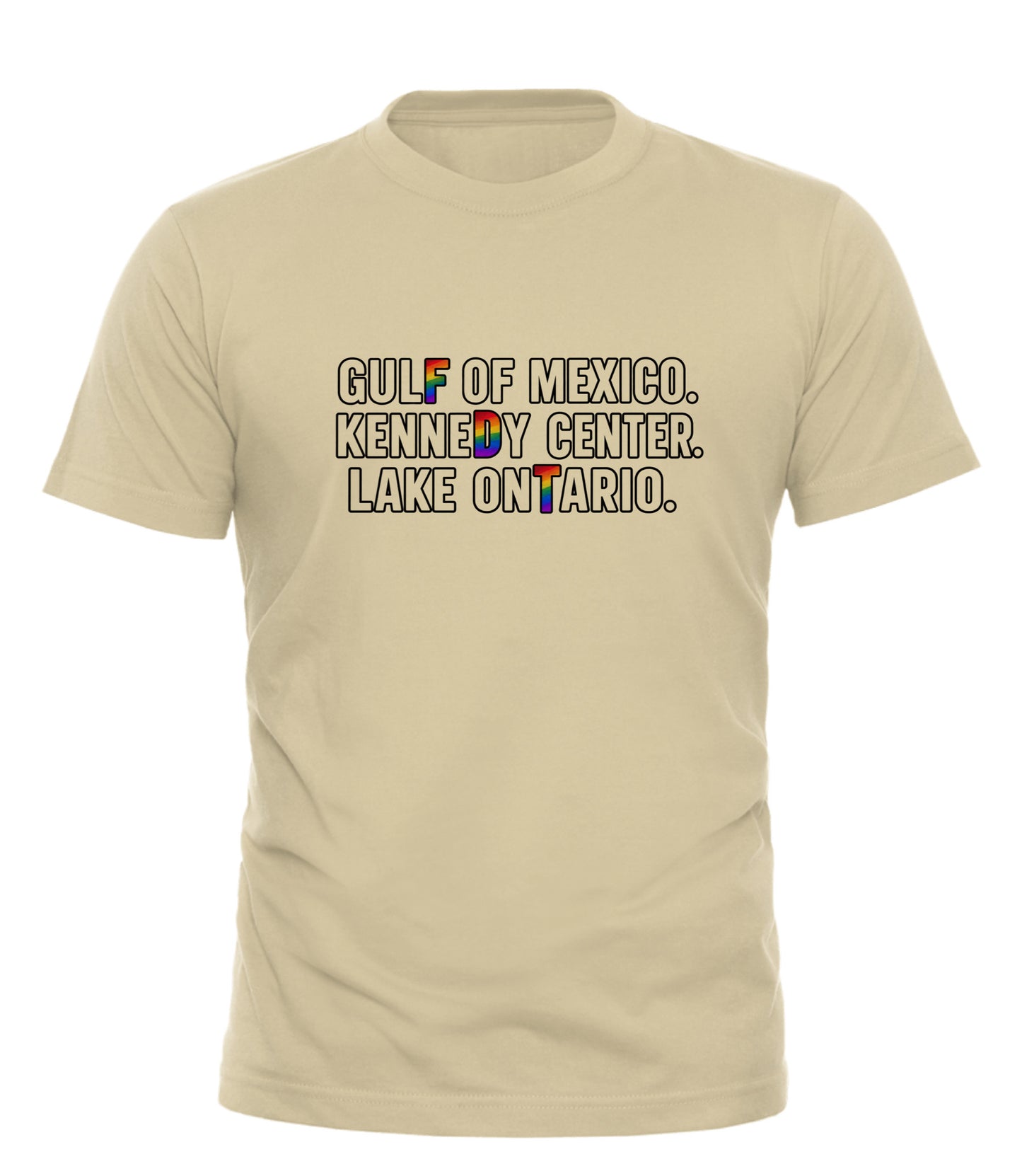 Rename It? Make It Gay. Pride Protest Tee