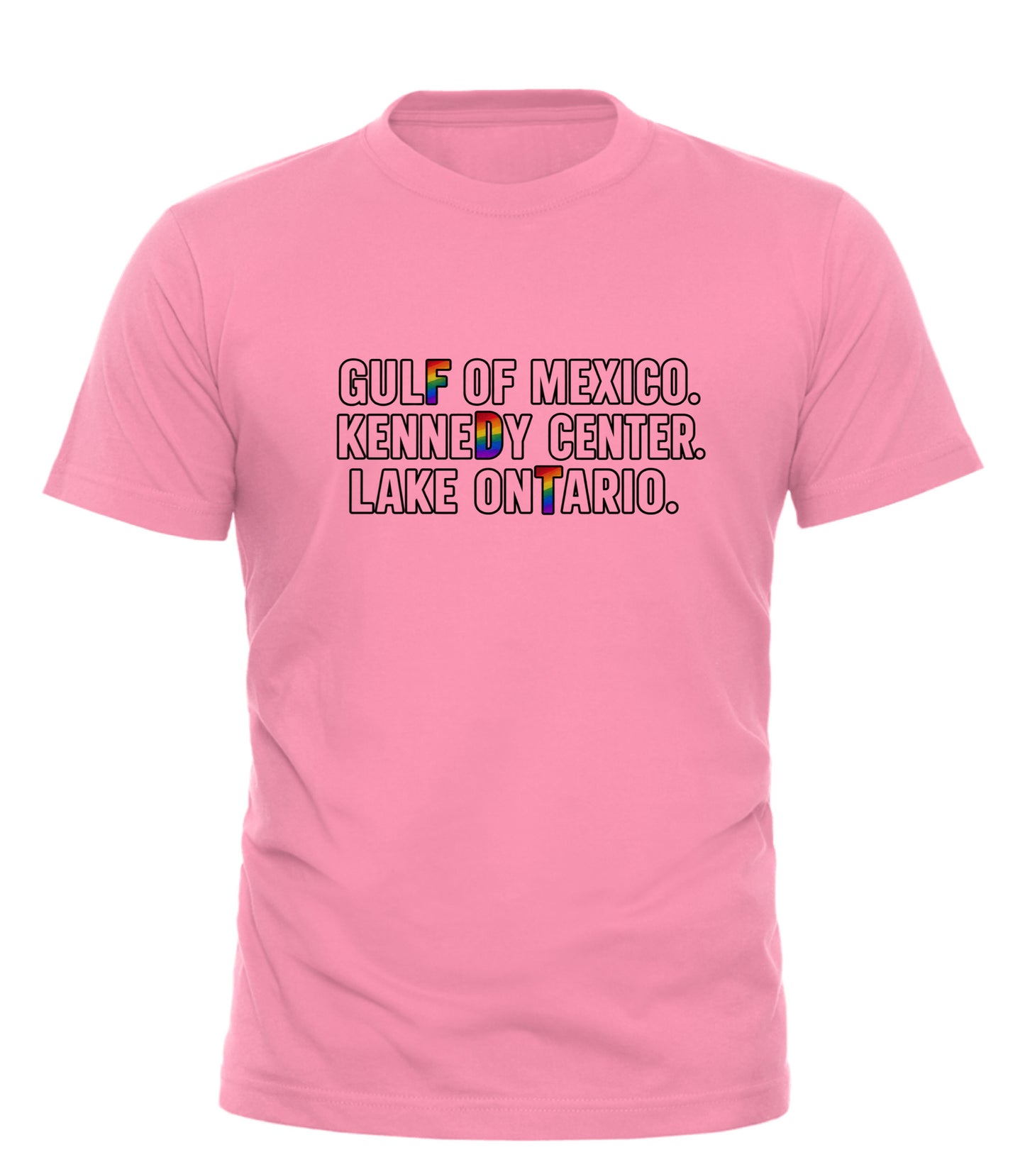 Rename It? Make It Gay. Pride Protest Tee