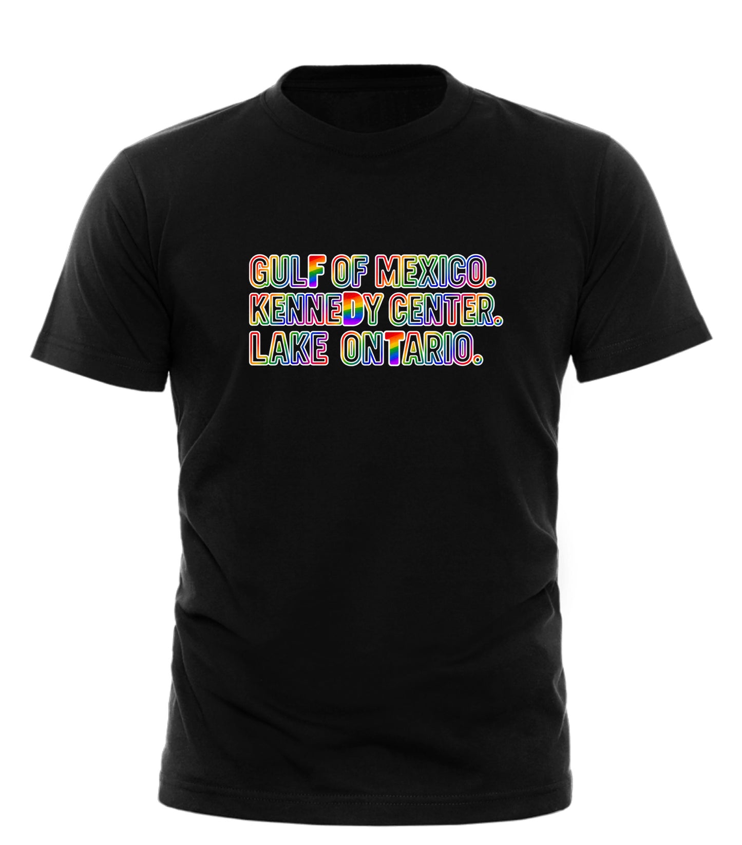 Rename It? Make It Gay. Pride Protest Tee