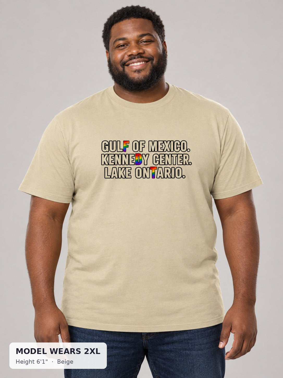Rename It? Make It Gay. Pride Protest Tee in Beige on a plus-size model wearing size 2XL, 6'1" - Good Trouble Fashion
